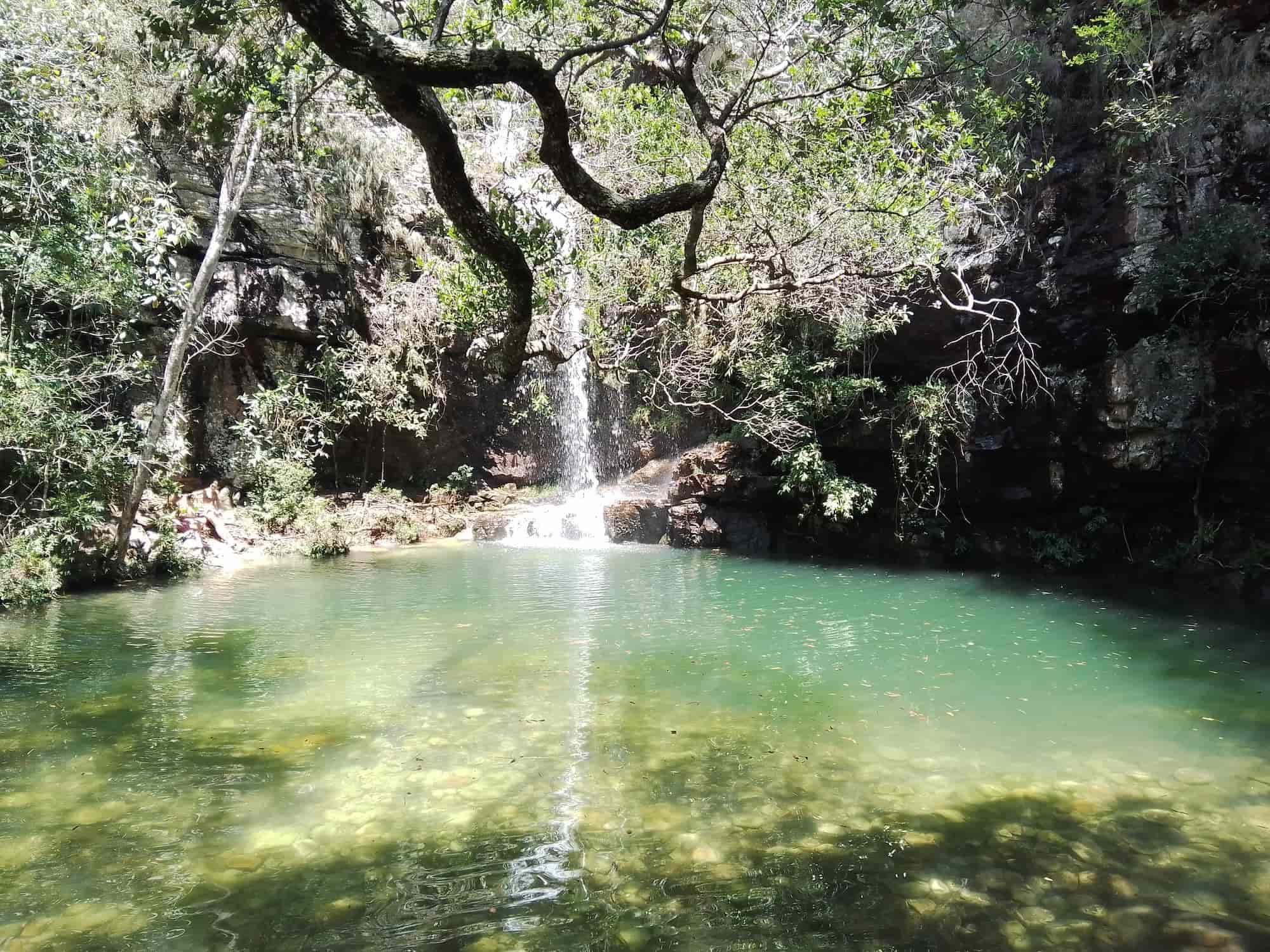 Cascade en forêt